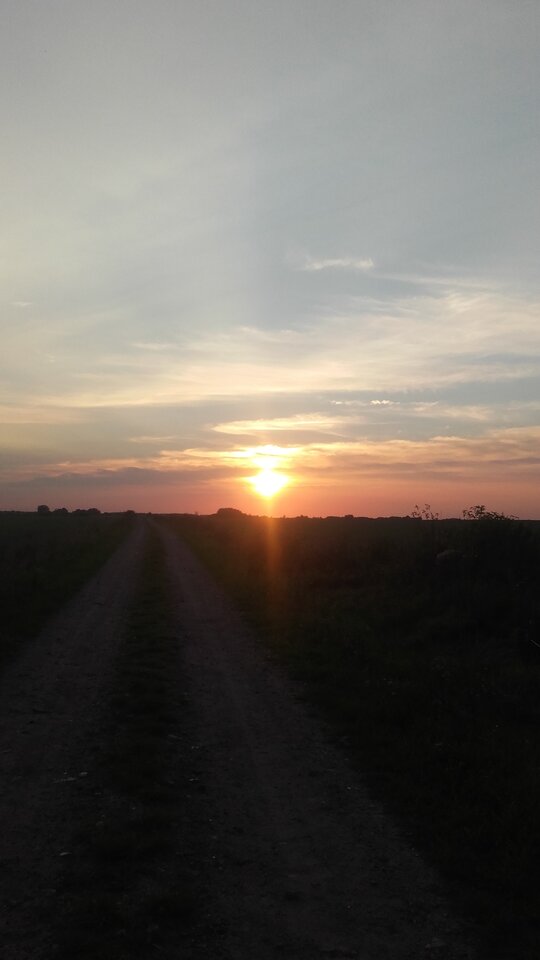 20200912_185422.jpg - bojman8