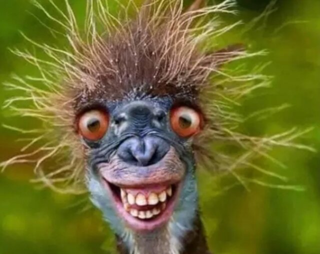 20200913_082704.jpg - Golabek1234