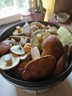 IMG_20200912_093659.jpg