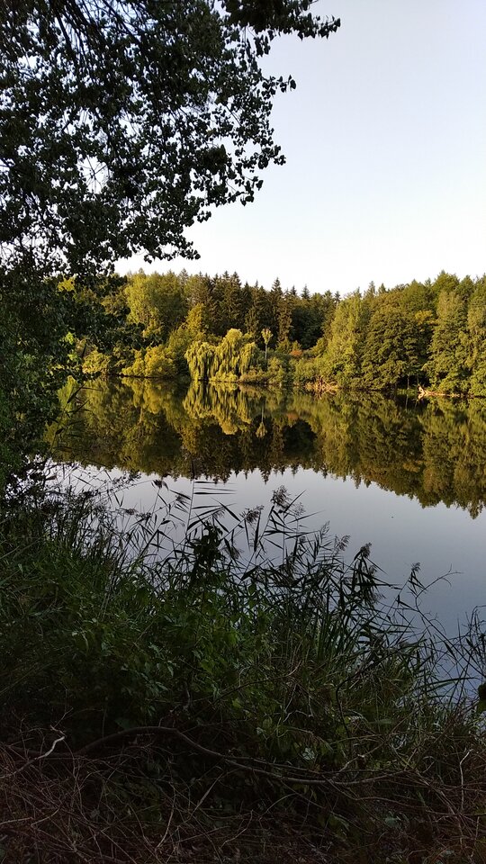 Dziękuję... - BiedronkaWkoronkach