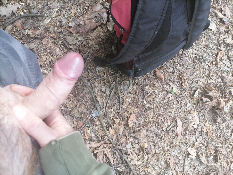 1599991811301.jpg - Szypkiromek2