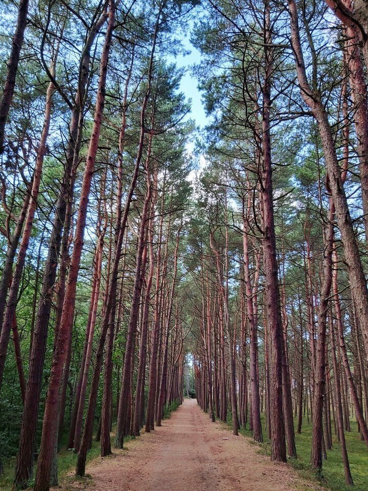 Droga... - para_kochankow