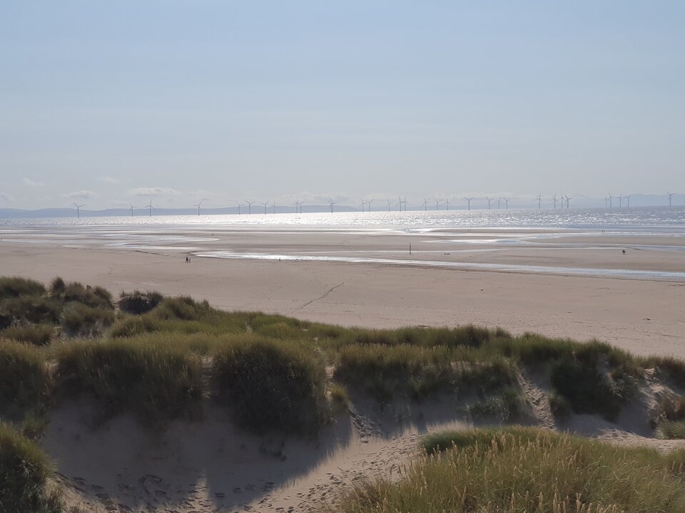 20200913_145621.jpg - INFFERRNO