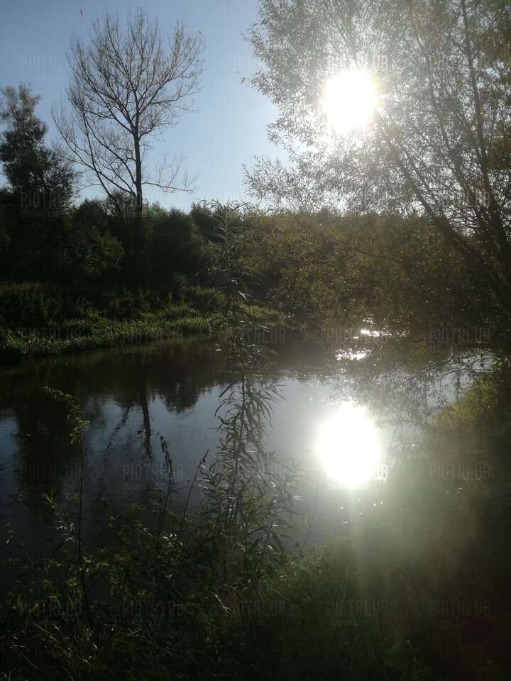 IMG_202009165440.jpg - piotrlub