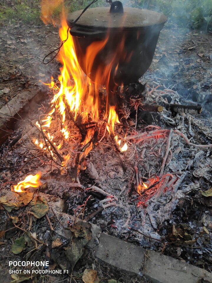 IMG_20200905_162719.jpg - Jakisfacet1