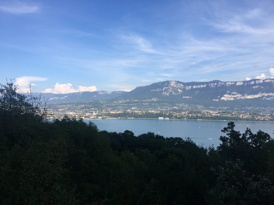 1CB182CB-7F87-4EE2-8447-6E646B42D63D.jpeg - DominujacyP