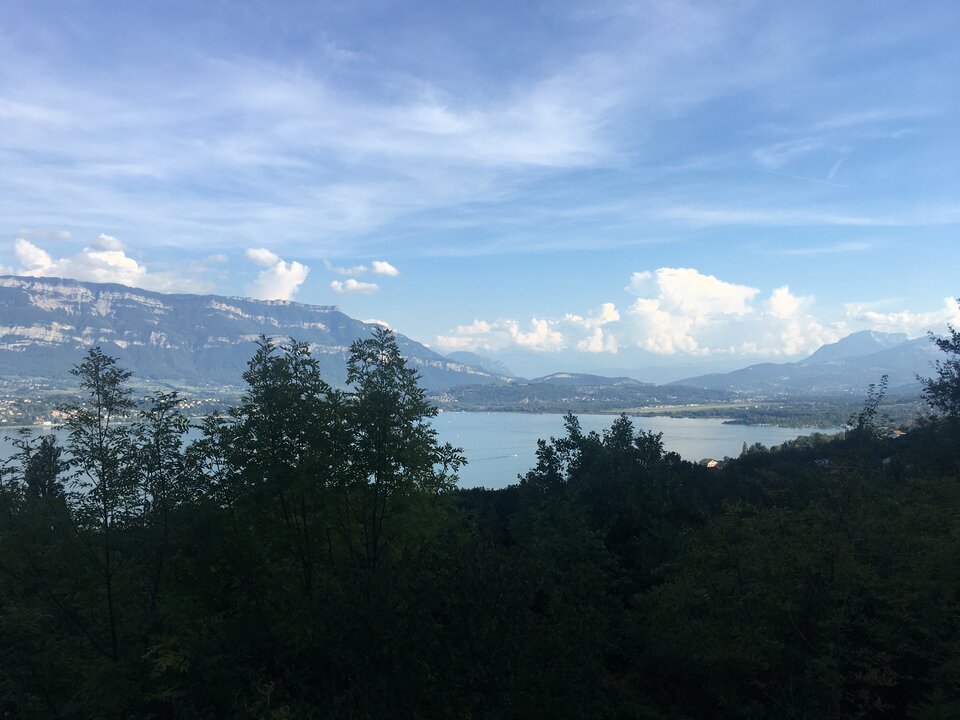 06097411-FAE3-419C-B4ED-5382621306D3.jpeg - DominujacyP