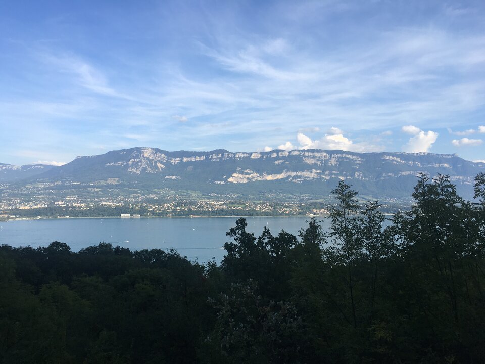 E135B262-F6B4-4E94-9E7B-5ACBBE8C4C8B.jpeg - DominujacyP