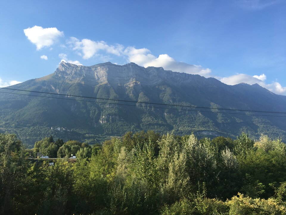 D766F335-9607-4CA6-9C7F-C032931AE89E.jpeg - DominujacyP