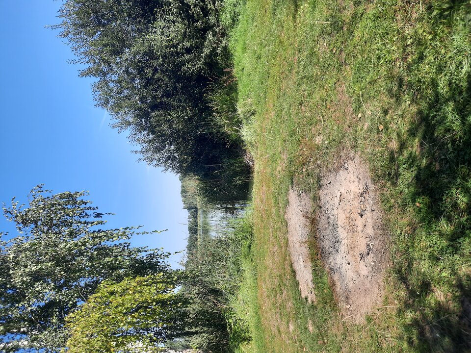 16000787998677726411674482561028.jpg - Emil762