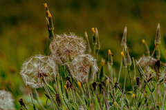 W świetle zachodzącego słońca