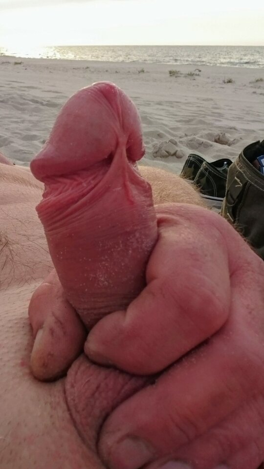 DSC_6665~2.JPG - artur42wawa