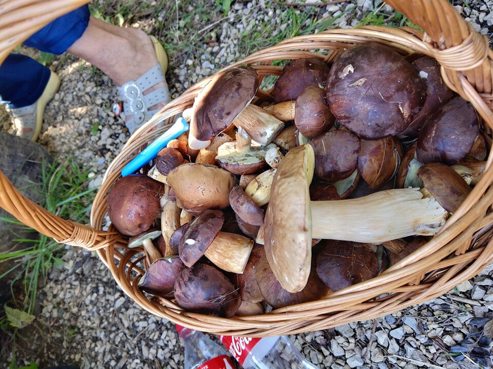 IMG_20200911_132800.jpg - CzornyDuzy