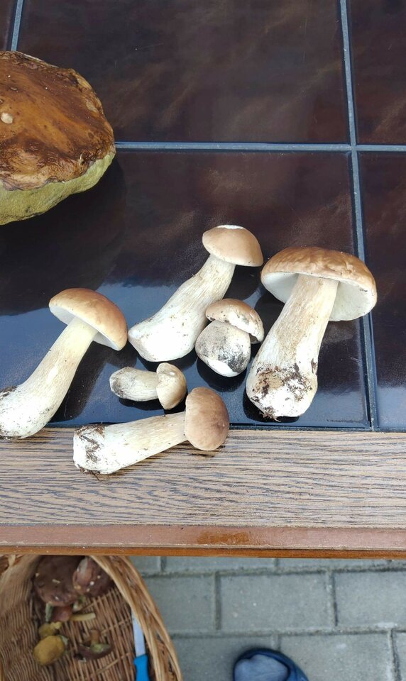 received_1422799654592184.jpeg - CzornyDuzy