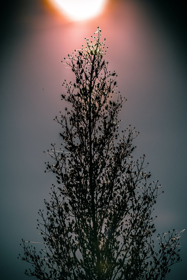 Pod słońce - mystic