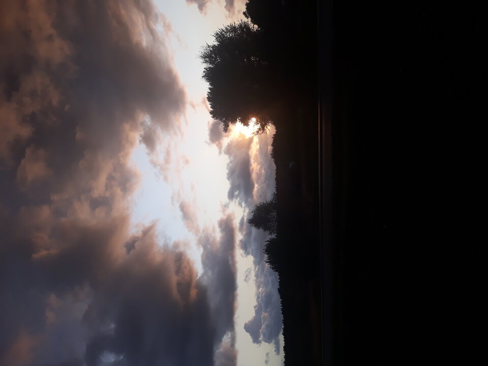 20200910_183229.jpg - bokstel33