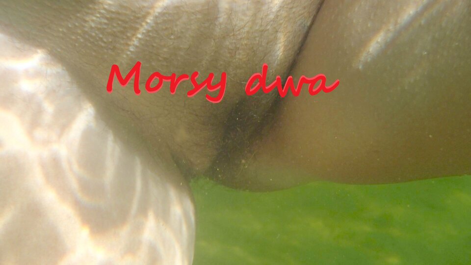 Podwodny plener. - Morsy_dwa