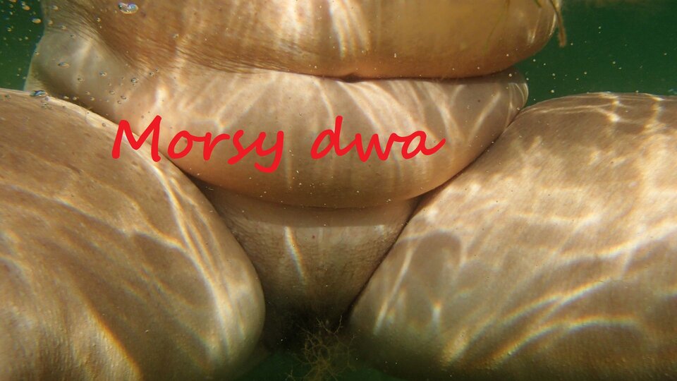 Podwodny plener. - Morsy_dwa
