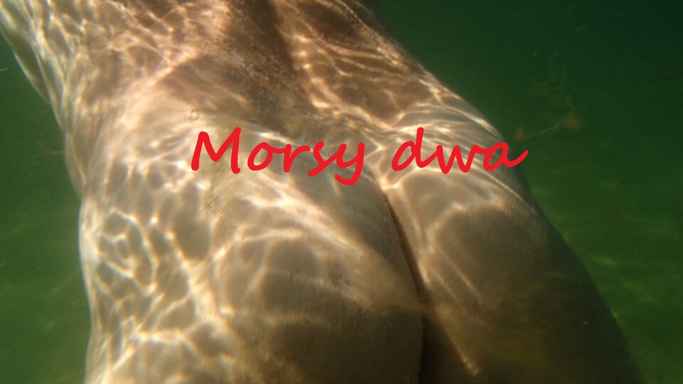 Podwodny plener. - Morsy_dwa
