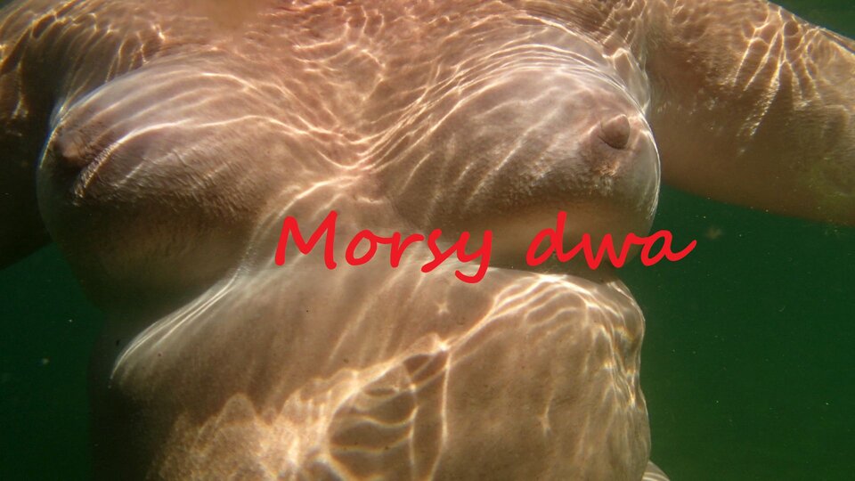 Podwodny plener. - Morsy_dwa