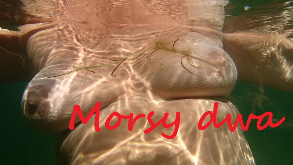 Podwodny plener. - Morsy_dwa
