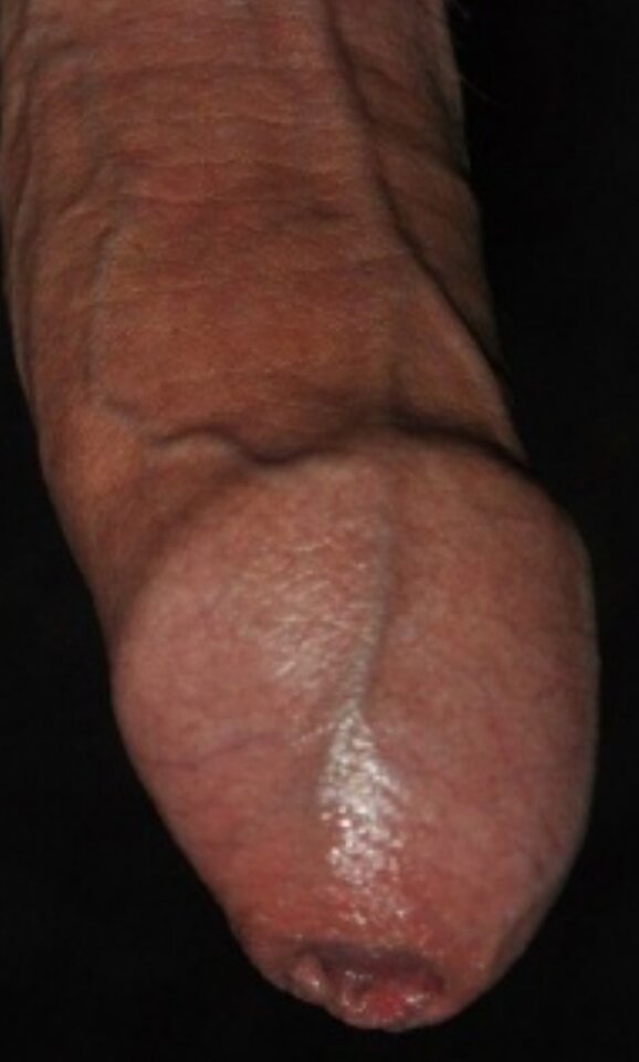 IMG_20200918_134253.jpg - Umberto74