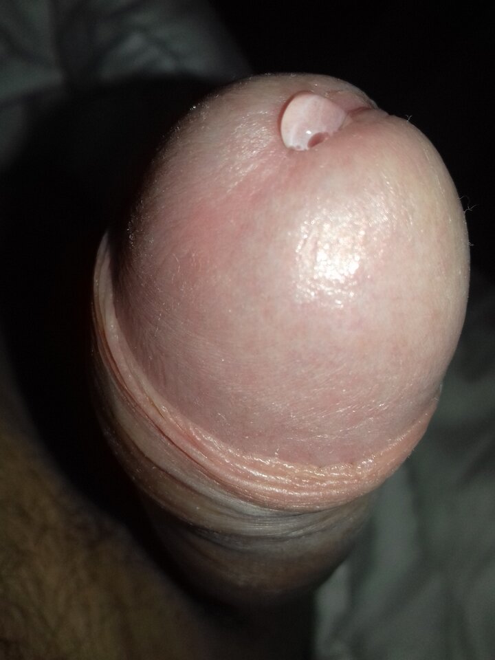 20200919_073206.jpg - przeznaczenie79