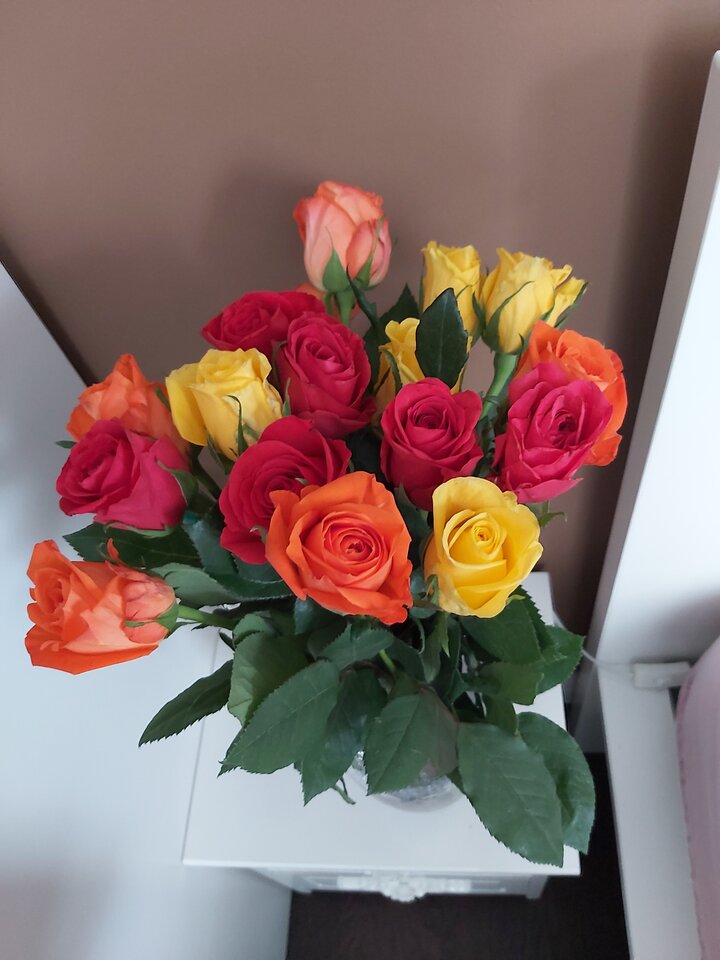 20200919_161705.jpg - piekneksztalty