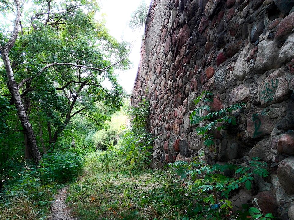 IMG_20200919_152020.jpg - Roscoo