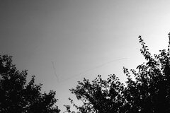 Ci odlatują, ci zostają....JPG