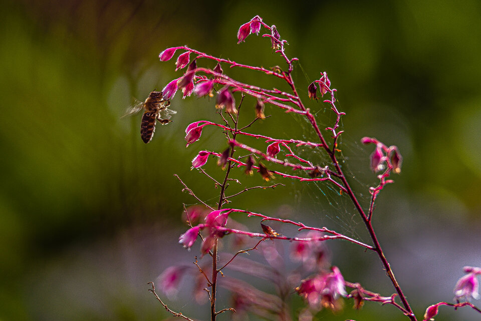 Jesiennie 10 - mystic