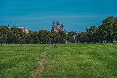 Coś z Błoń krakowskich