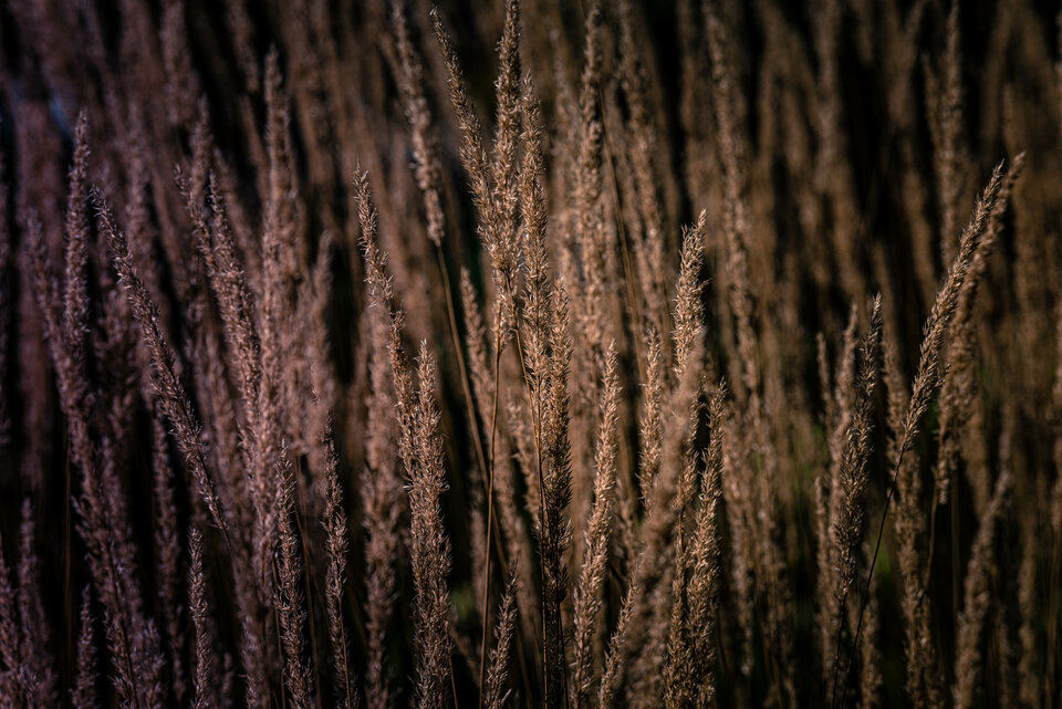 Jesiennie 5 - mystic