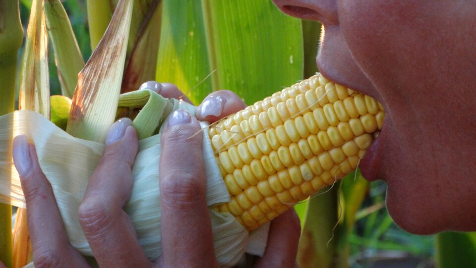 DSC08440.JPG - para38krakow