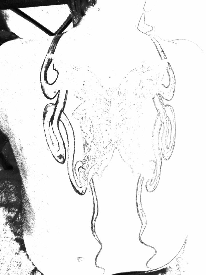 IMG_20200920_110903.jpg - Zapomnialam