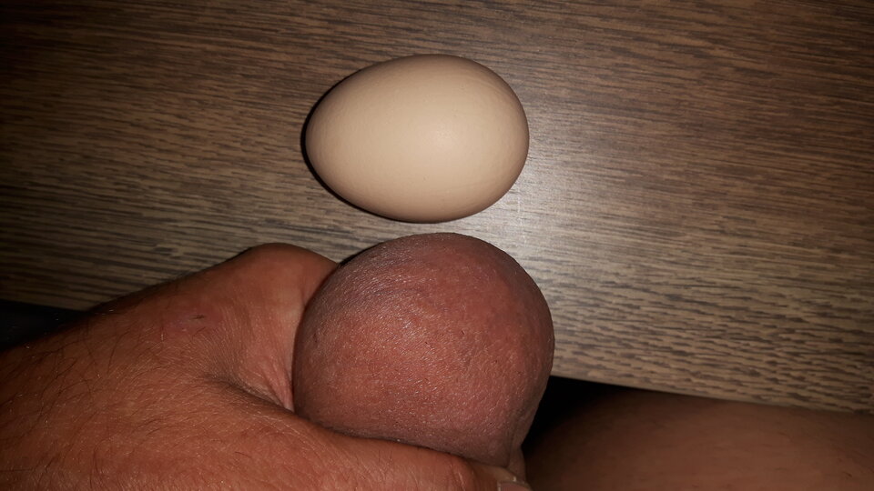 20200913_073905.jpg - madmax01