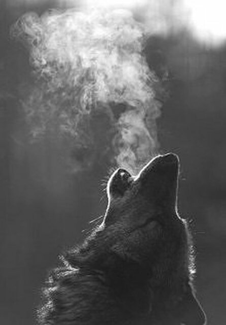 thb_8540.jpg - DistantDream78