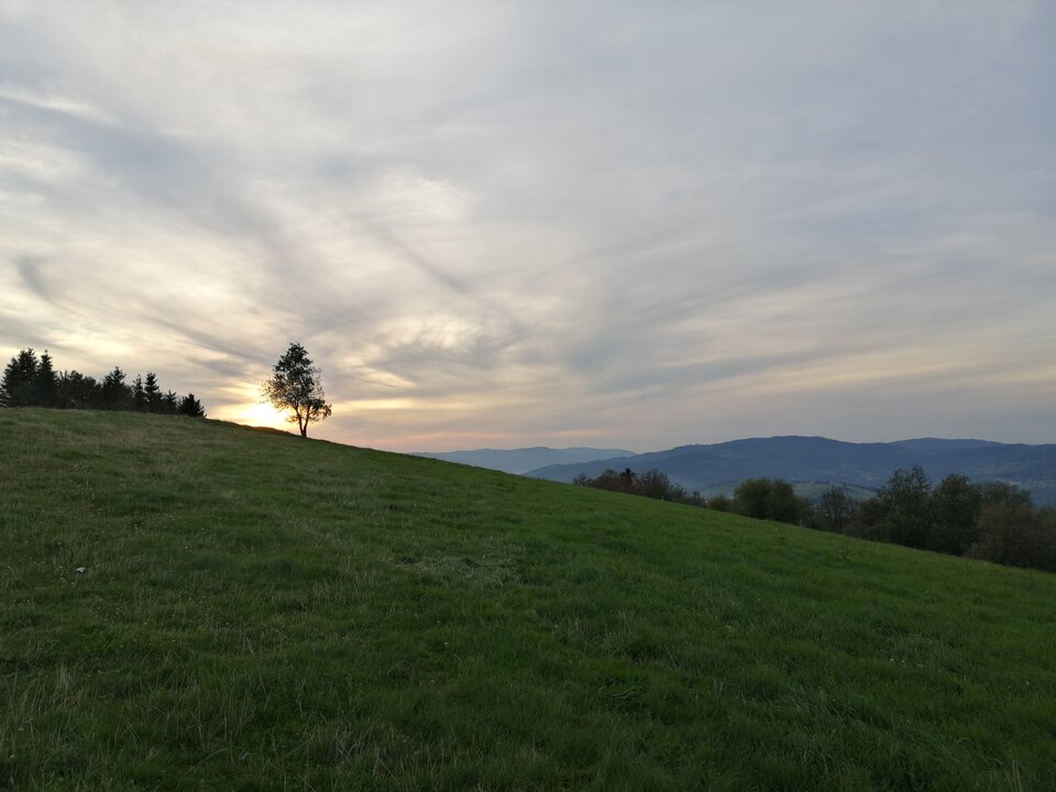 IMG_20200919_182017.jpg - Angel78