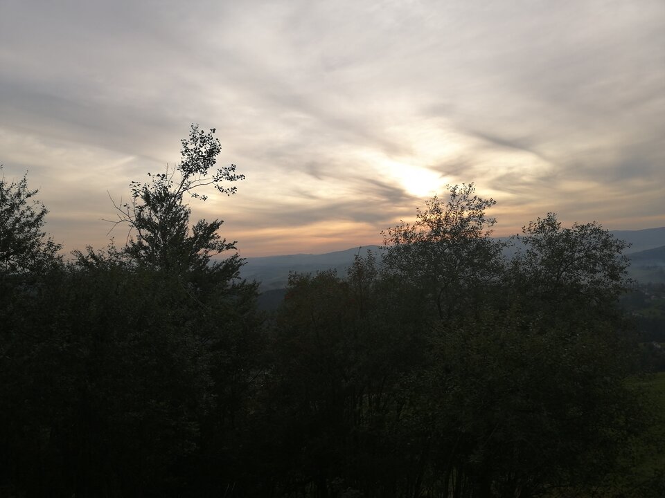 IMG_20200919_180324.jpg - Angel78