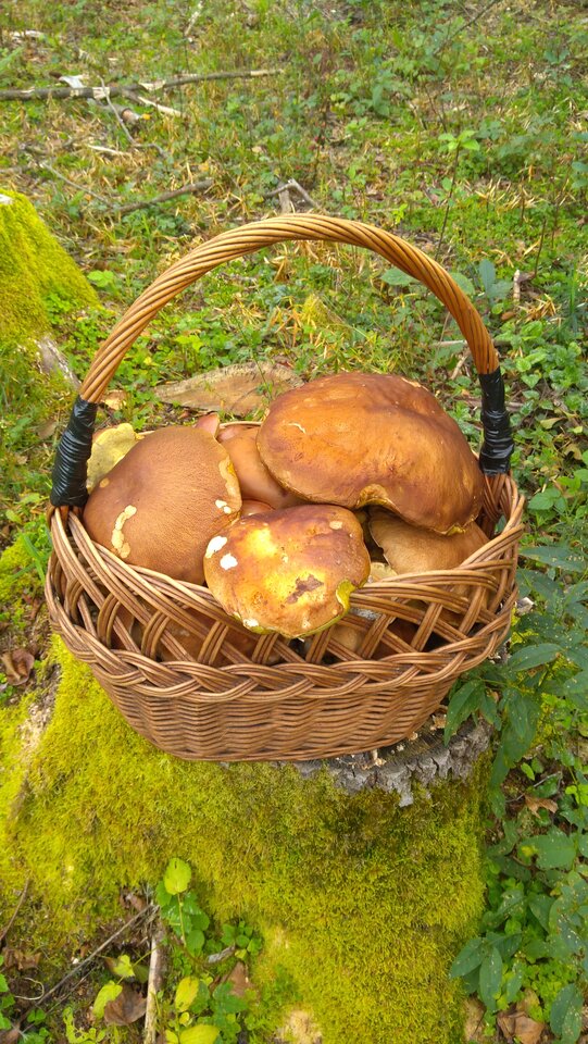 IMG_20200920_123144.jpg - ciekawiswiata2020