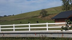 DSC_6381.JPG