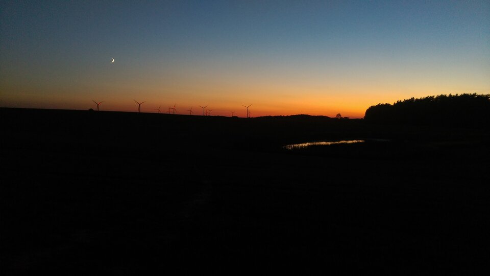 IMAG0217.jpg - nopsis