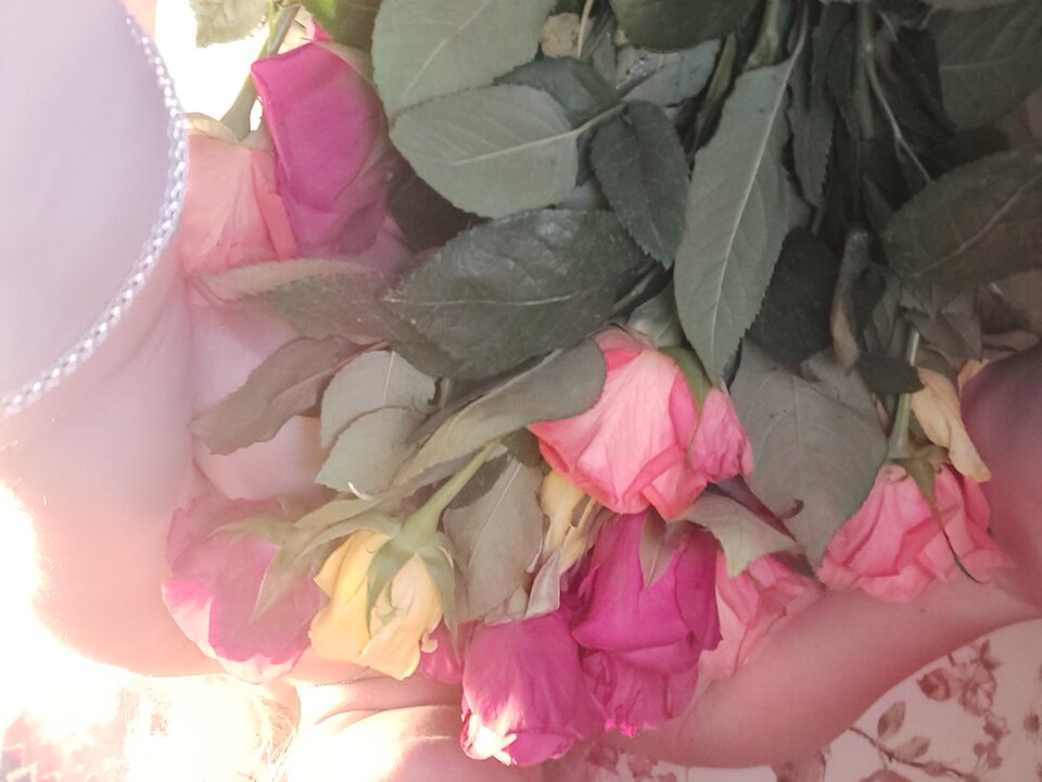 20200920_205153.jpg - piekneksztalty