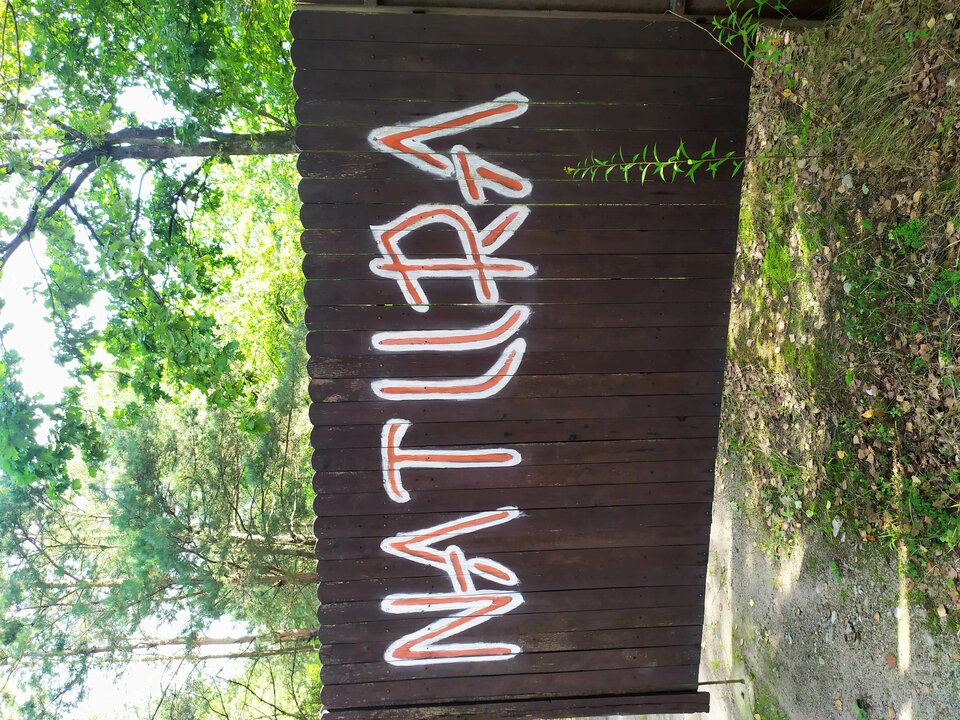 IMG_20200908_101450.jpg - Malz55