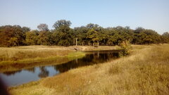 20200921_150459.jpg
