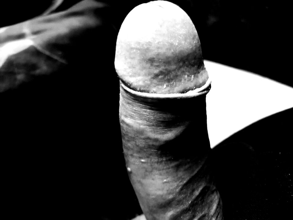 IMG_20200914_084839.jpg - Tuptus4