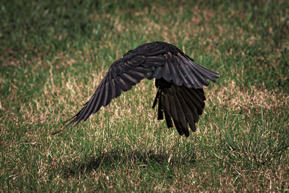 Czarny charakter ;) - mystic