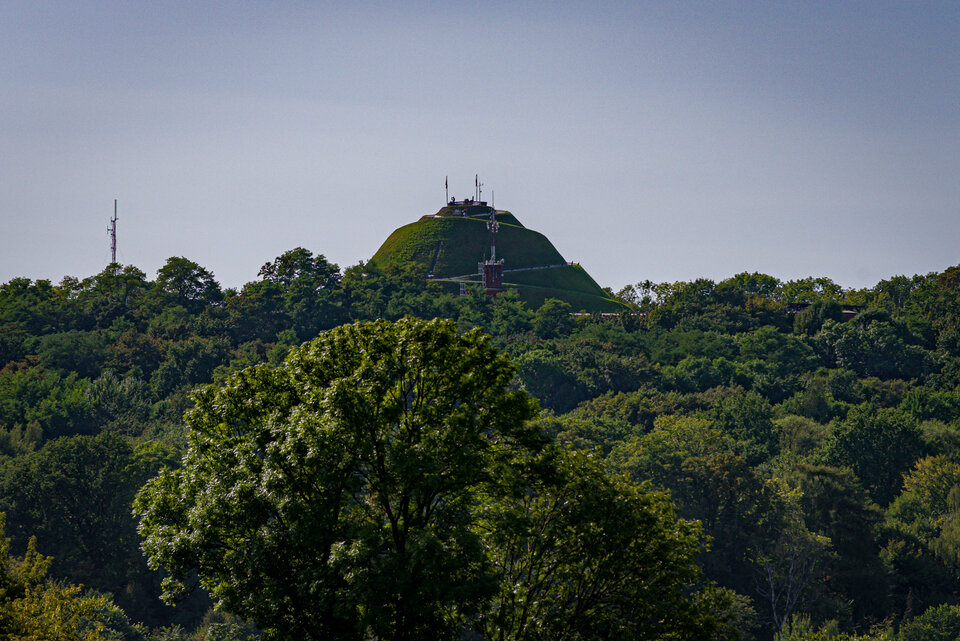 Wśród zieleni - mystic
