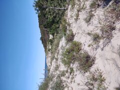 IMG_37.jpg