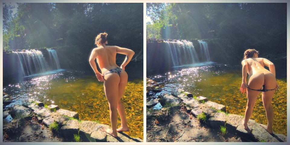 PokażD.jpeg - Parrots